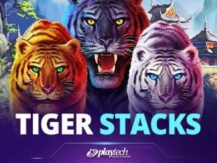 Tiger Stacks icon